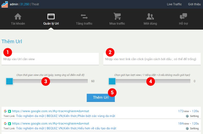 Hướng dẫn thêm Url và Text Link - Live Traffic